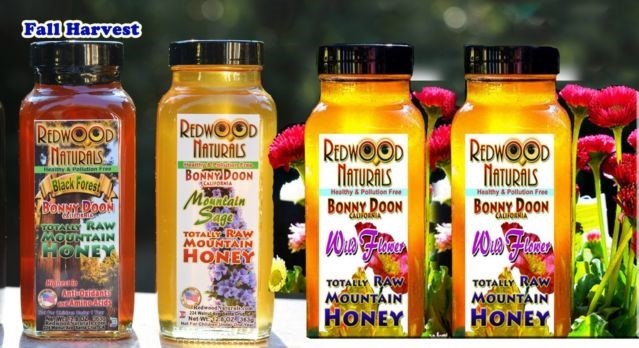  Can Dogs Eat Honey Stockton AL 36579